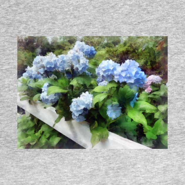 Hydrangea - Blue Hydrangea on White Fence by SusanSavad